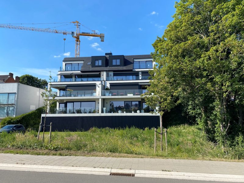Waarom een architect inschakelen voor een renovatie van uw woning?