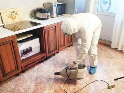 Pest Control Exterminator From One Roof Fumigation Services