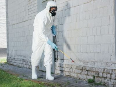 Pest Exterminator Service