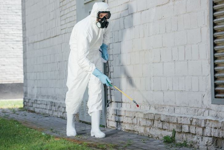 Pest Exterminator Service