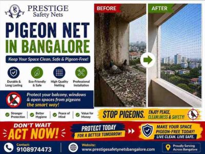 Keep Pigeons Away with Expert Net Installation