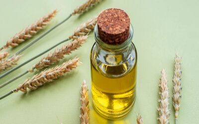 Manufacturers of Aromatic Chemicals Offering Premium Wheat Germ Oil in India
