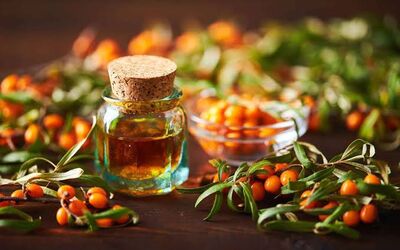 Carrier Oil Exporters In India – Bulk Supply at Best Price