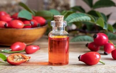 Carrier Oil Exporters In India – Bulk Supply at Best Price