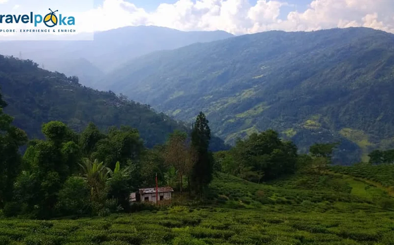 TravelPoka – Customized Tours & Homestays