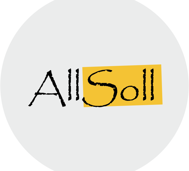 Digital Marketing Agency in India - AllSoll