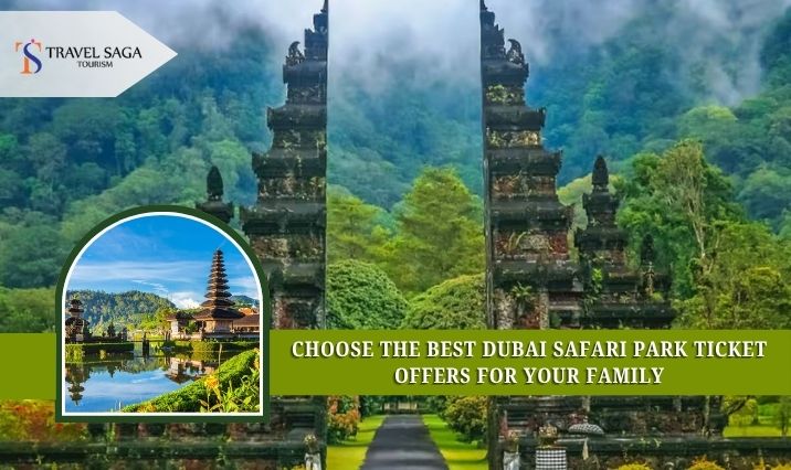 Turn Your Indonesia Travel Plans into Reality with Visa Support