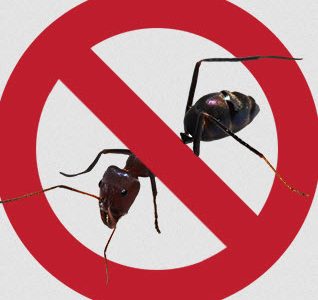 Pest Control Campbelltown