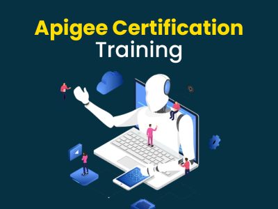 Apigee Online Training by Zx Academy | Google Apigee API Management Certification Course