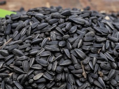 Black Sunflower Seeds with Shell  10 kg Bag
