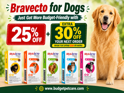 Bravecto for Dogs Just Got More Budget-Friendly with 25% Off