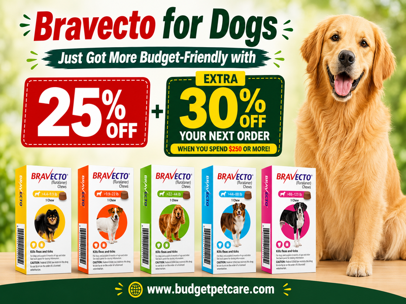 Bravecto for Dogs Just Got More Budget-Friendly with 25% Off
