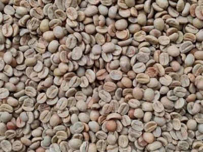 Brazil Cerrado Green Coffee Beans For Sale | +27 71 934 5262