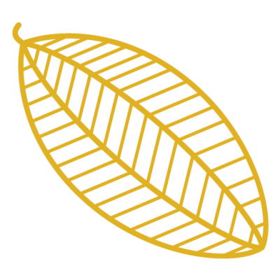cacaoandcardamom2