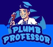 Plumb Professor