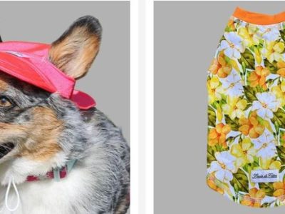 Dog and Cat Accessories Every Pet Parent Will Love