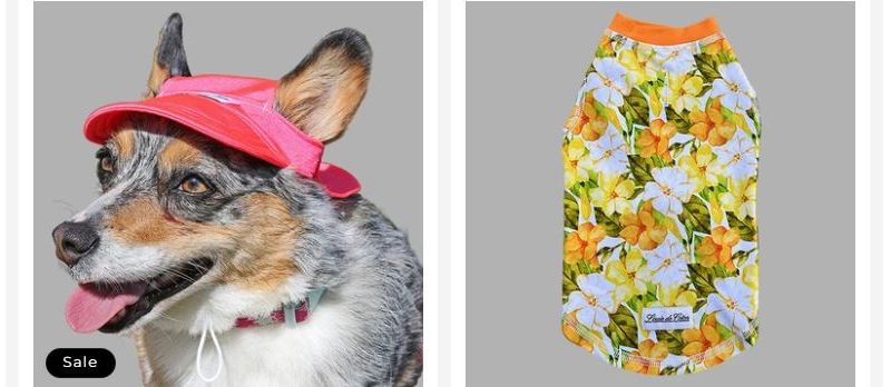 Dog and Cat Accessories Every Pet Parent Will Love
