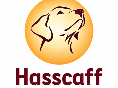 Hasscaff Scaffolding