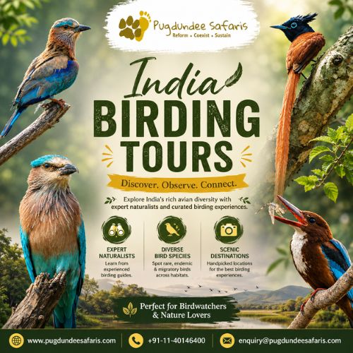 Experience India Birding Tours Like Never Before