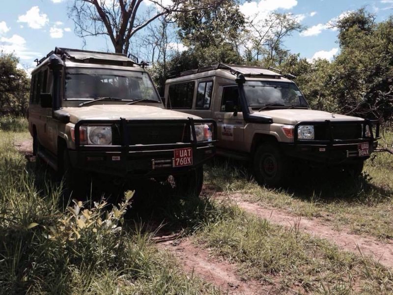 Gorilla Trekking Uganda