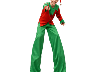 Leading Party Character Rental in Palm Beach | Kids Fairyland