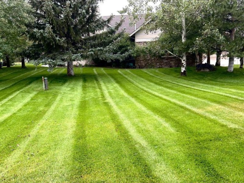Local Lawn Care Companies in Belgrade
