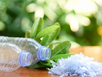Best Quality PET Bottle Flakes