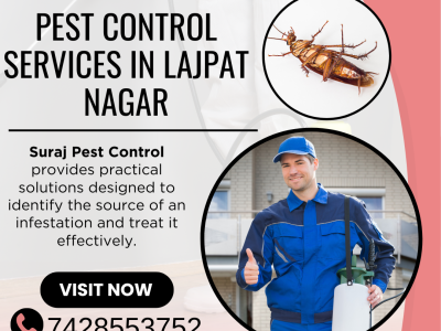Pest Control Services in Lajpat Nagar: From Hidden Pests to Lasting Relief