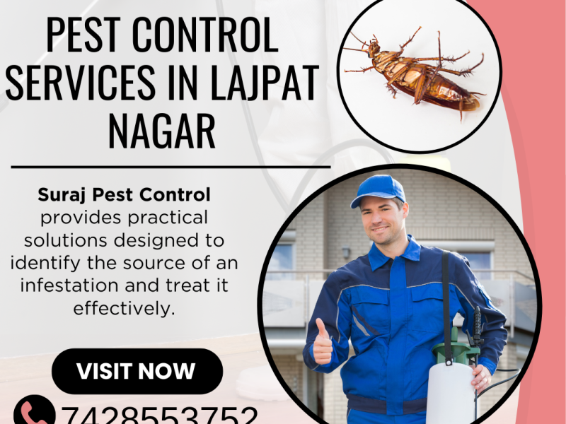 Pest Control Services in Lajpat Nagar: From Hidden Pests to Lasting Relief