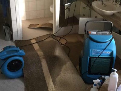 Water Damage Restoration Experts