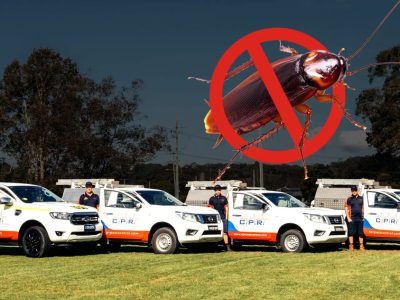Cockroach Pest Control | CPR Pest Services