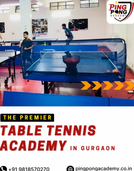 PING PONG ACADEMY ™ - best table tennis academy in Gurgaon
