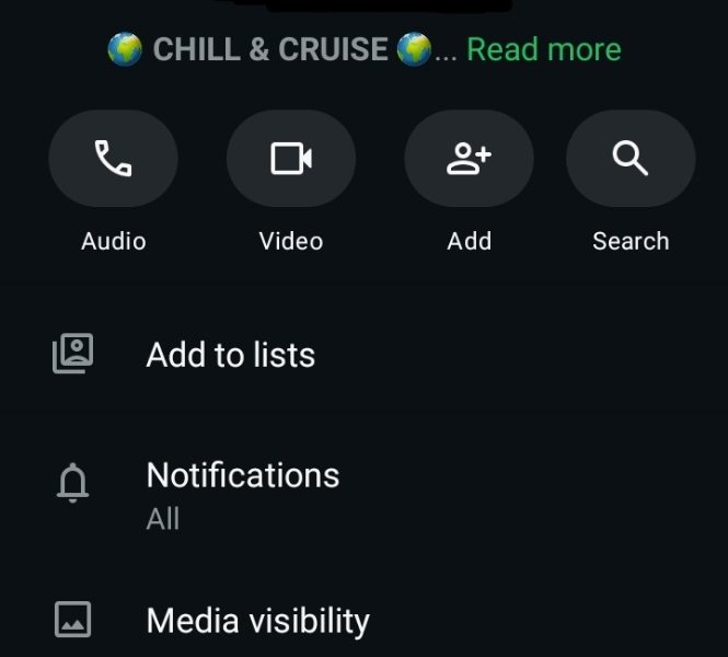 🌍 Chill & Cruise