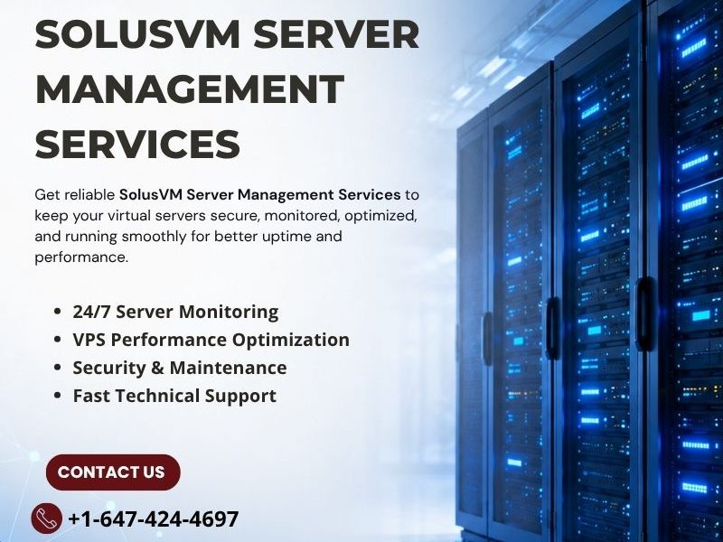 SolusVM Server Management Services | Expert Support