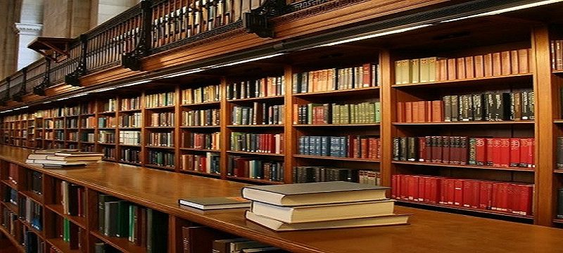Biblical Fiction That Brings Scripture to Life