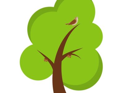 Hiteshi Infotech - Custom Software Development Company | AI, IoT & IT Solutions