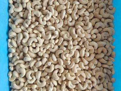 LUCKNOW Malihabad CASHEW SUPPLIER IN UTTAR PRADESH 7550251115