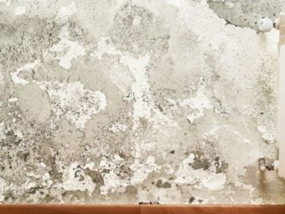 Wall Seepage Treatment