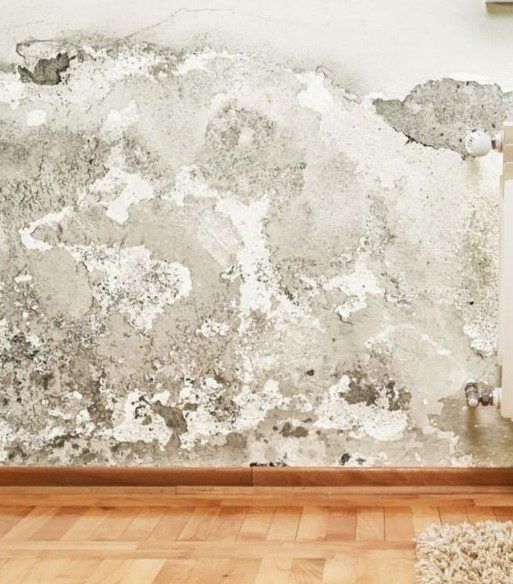 Wall Seepage Treatment