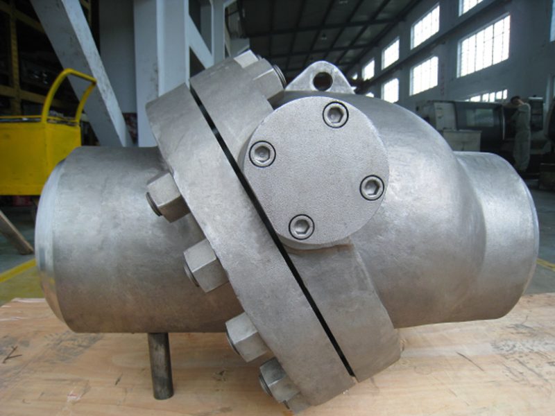 Check Valve Manufacturer in India