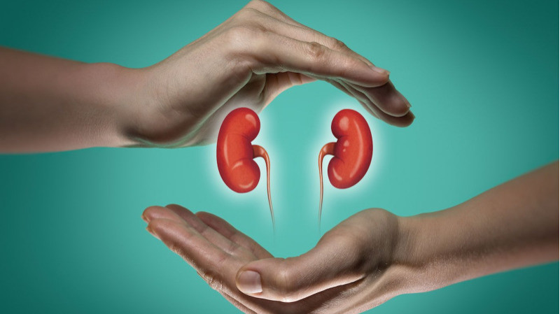 How Can an Experienced Nephrologist Help Protect Kidney Health?