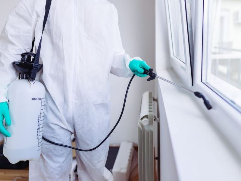 Fumigation Services