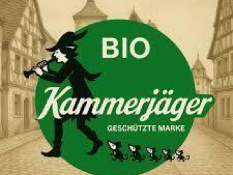 Kammerjäger Wiesbaden | Professionelle Schädlingsbekämpfung