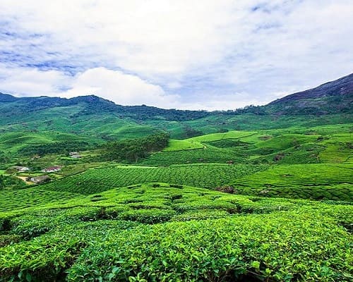 Paquetes Turísticos por el Sur de la India | Vacaciones Personalizadas en la India
