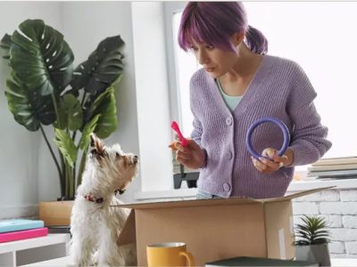 Give Your Pets the Comfort They Deserve