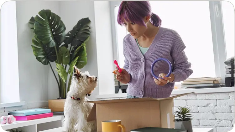 Give Your Pets the Comfort They Deserve