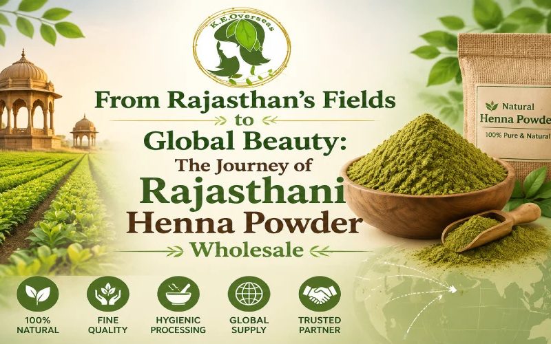 From Rajasthan’s Fields to Global Beauty: The Journey of Rajasthani Henna Powder Wholesale