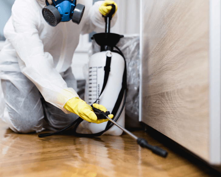 Pest Control Gosford | Australian Termite Solutions